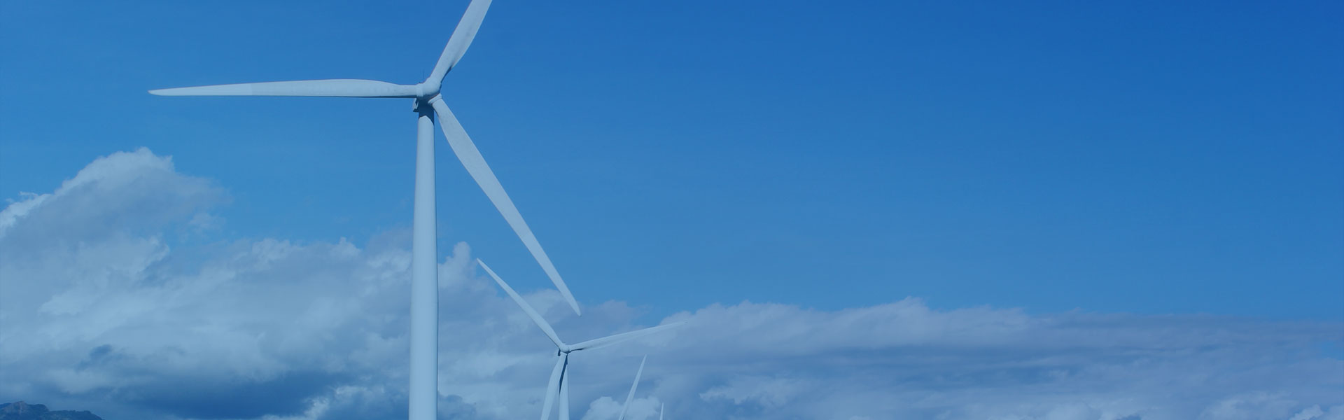 �ز���(BIBO)�ٷ���վ